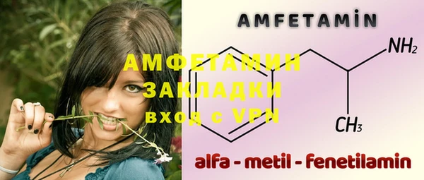 индика Снежногорск
