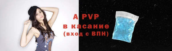 прущие грибы Белоозёрский