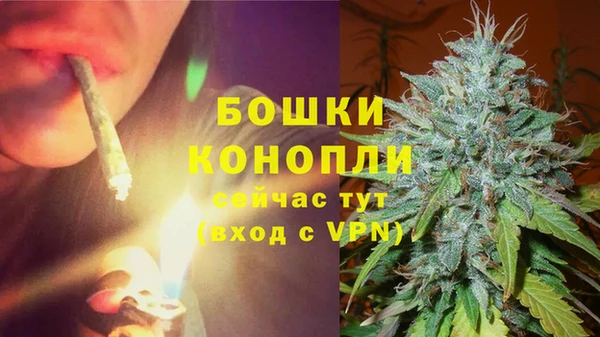 прущие грибы Белоозёрский