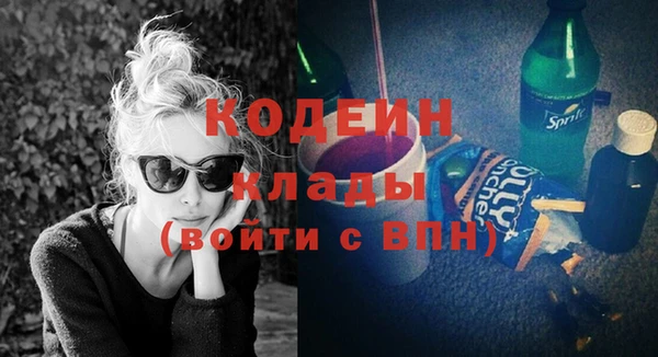 индика Снежногорск