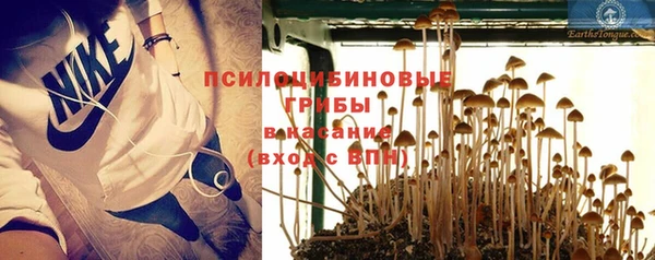 прущие грибы Белоозёрский