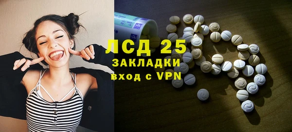 прущие грибы Белоозёрский