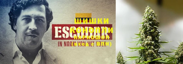 прущие грибы Белоозёрский